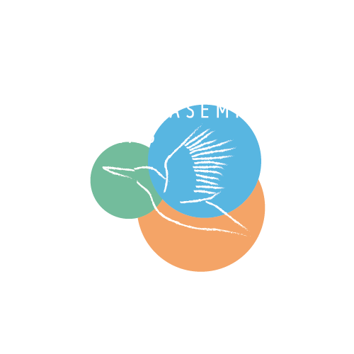 KAWASEMI LAB